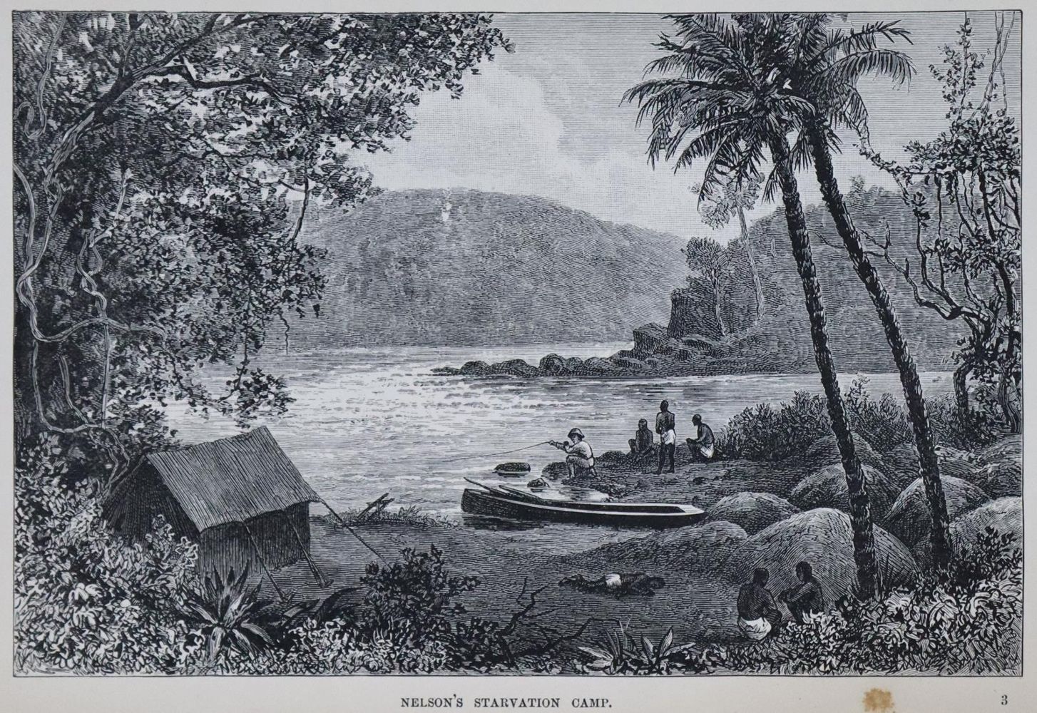 Große Abbildung Nr.1: 136-1760 Parke,T.H.: (Afrika)