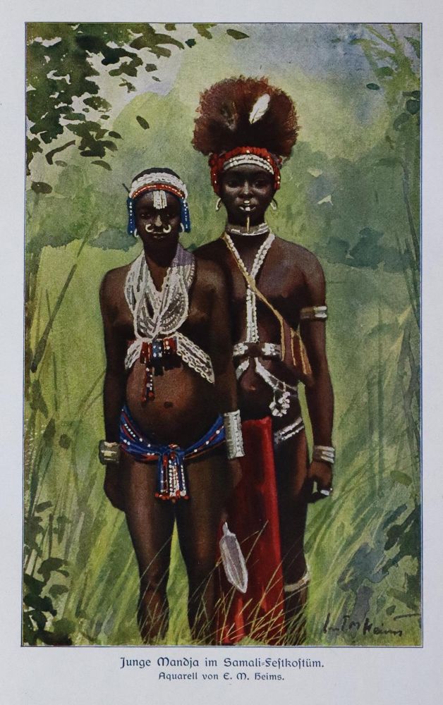 Große Abbildung Nr.1: 136-1766 Schynse,A.: (Afrika)