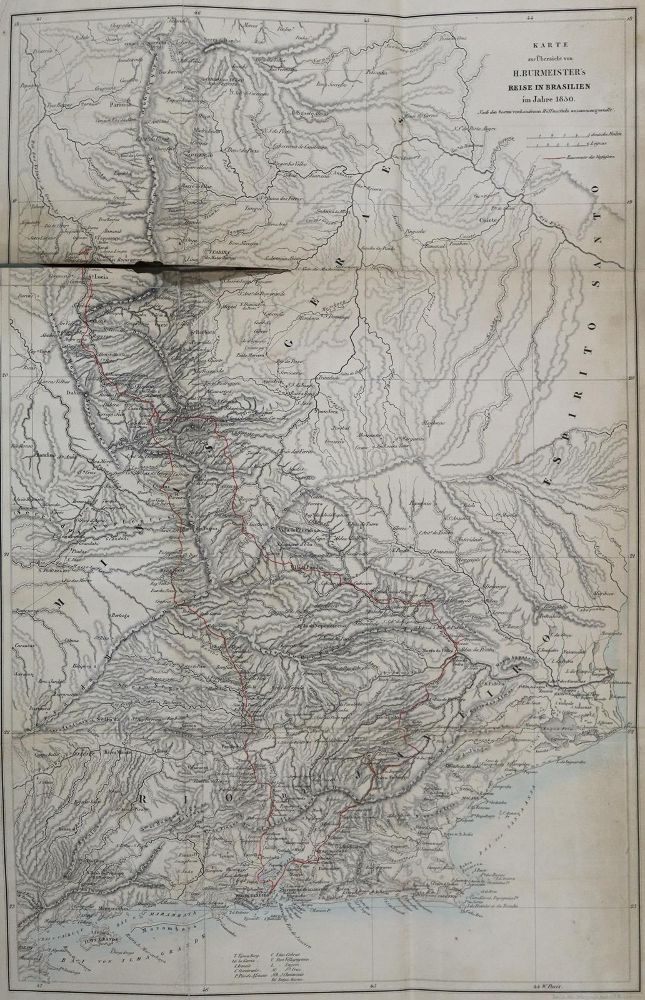 Große Abbildung Nr.1: 136-1782 Burmeister,H.: (Amerika, Brasilien)