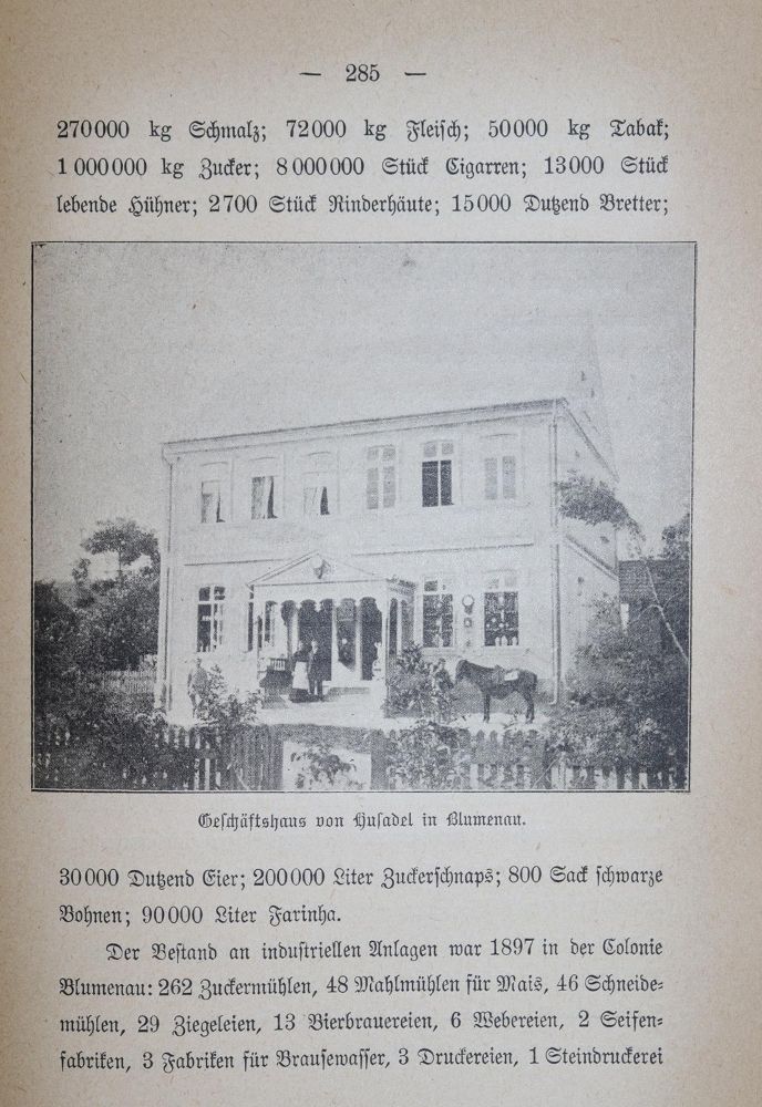 Große Abbildung Nr.2: 136-1784 Gernhard,R.: (Amerika, Brasilien)
