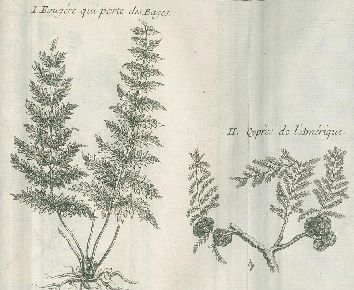 Große Abbildung Nr.2: 136-1793 Charlevoix,P.(F.X.)de.: (Amerika, Kanada)