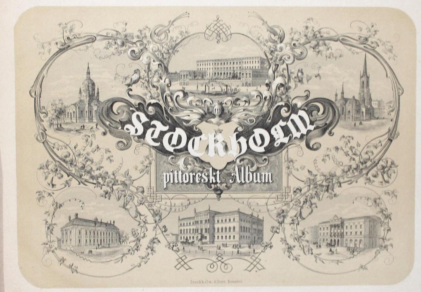 Große Abbildung Nr.1: 136-1817 Niboyet,P.: (Arktis-Antarktis-Nordländer, Schweden)