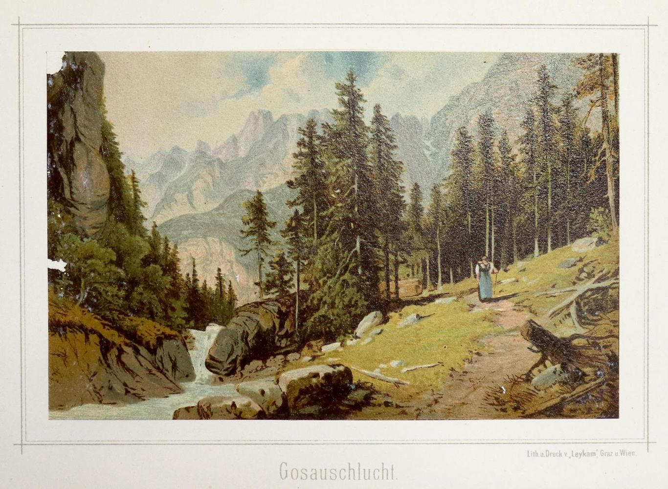 Große Abbildung Nr.1: 136-2031 (Gerasch,A.: (Österreich)