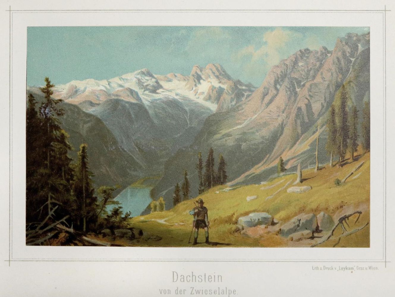 Große Abbildung Nr.2: 136-2031 (Gerasch,A.: (Österreich)