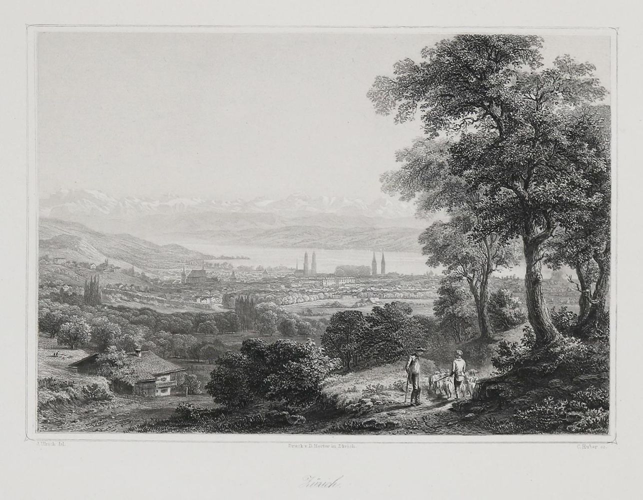 Große Abbildung Nr.1: 136-2054 Reithard,J.J.: (Schweiz)