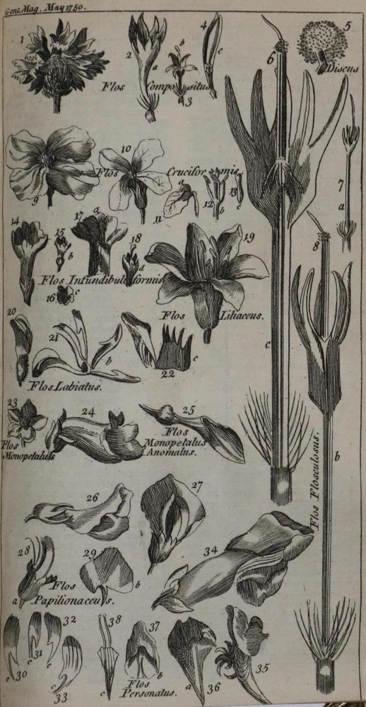 Große Abbildung Nr.8: 136-2108 Gentleman's Magazine, The,: (Verschiedene Länder - Geschichte)