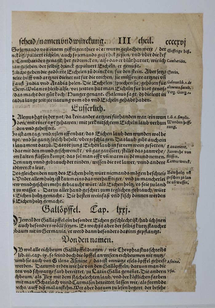 Große Abbildung Nr.10: 136-2722 Bock,H.: (Varia, Botanik)