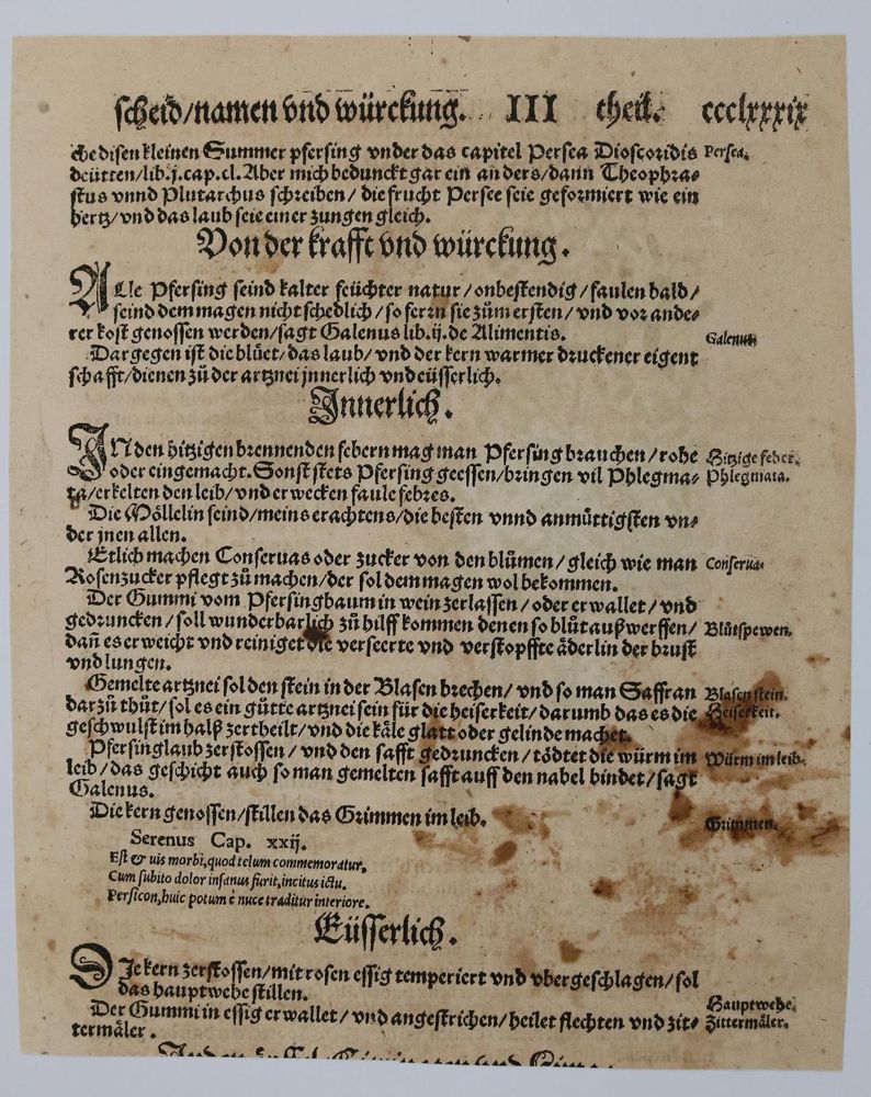 Große Abbildung Nr.2: 136-2722 Bock,H.: (Varia, Botanik)