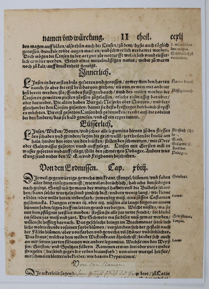 Große Abbildung Nr.4: 136-2722 Bock,H.: (Varia, Botanik)