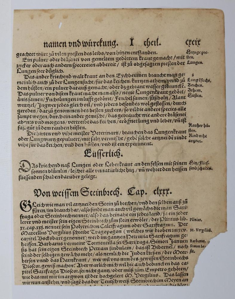 Große Abbildung Nr.6: 136-2722 Bock,H.: (Varia, Botanik)