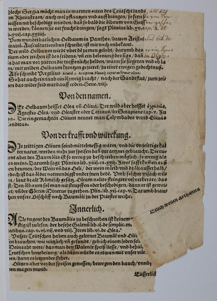 Große Abbildung Nr.8: 136-2722 Bock,H.: (Varia, Botanik)
