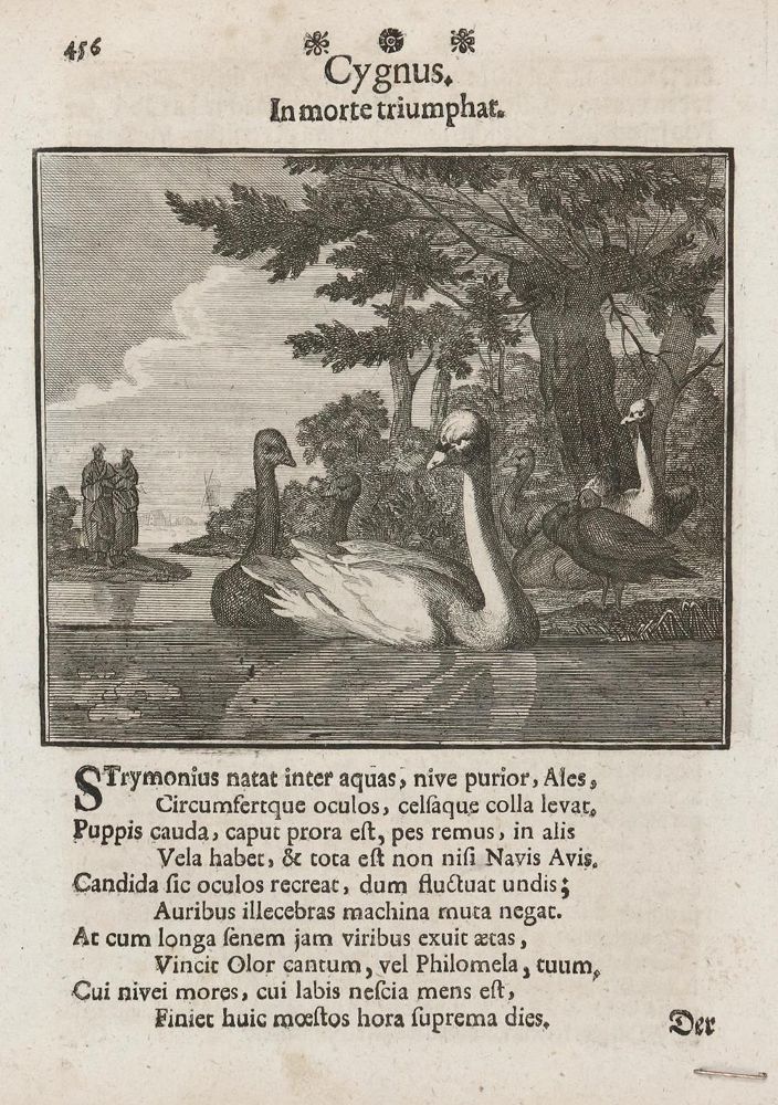 Große Abbildung Nr.1: 136-2749 Emblematik.: (Varia)