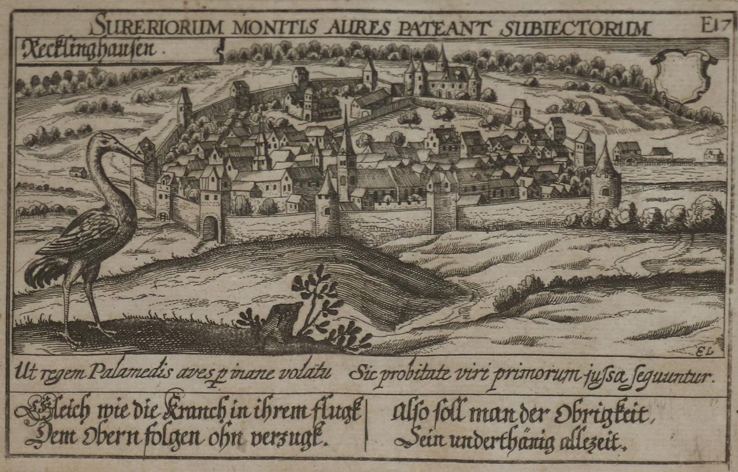Große Abbildung Nr.3: 136-2782 Konvolut: (Varia)