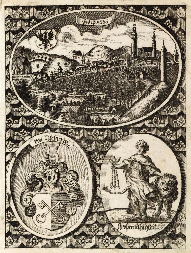 Große Abbildung Nr.1: 136-2885 Goldberg.: (Deutschland)