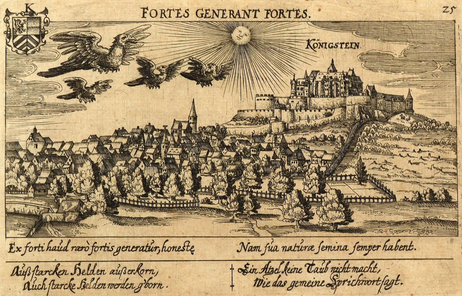 Große Abbildung Nr.1: 136-2917 Königstein im Taunus.: (Deutschland)