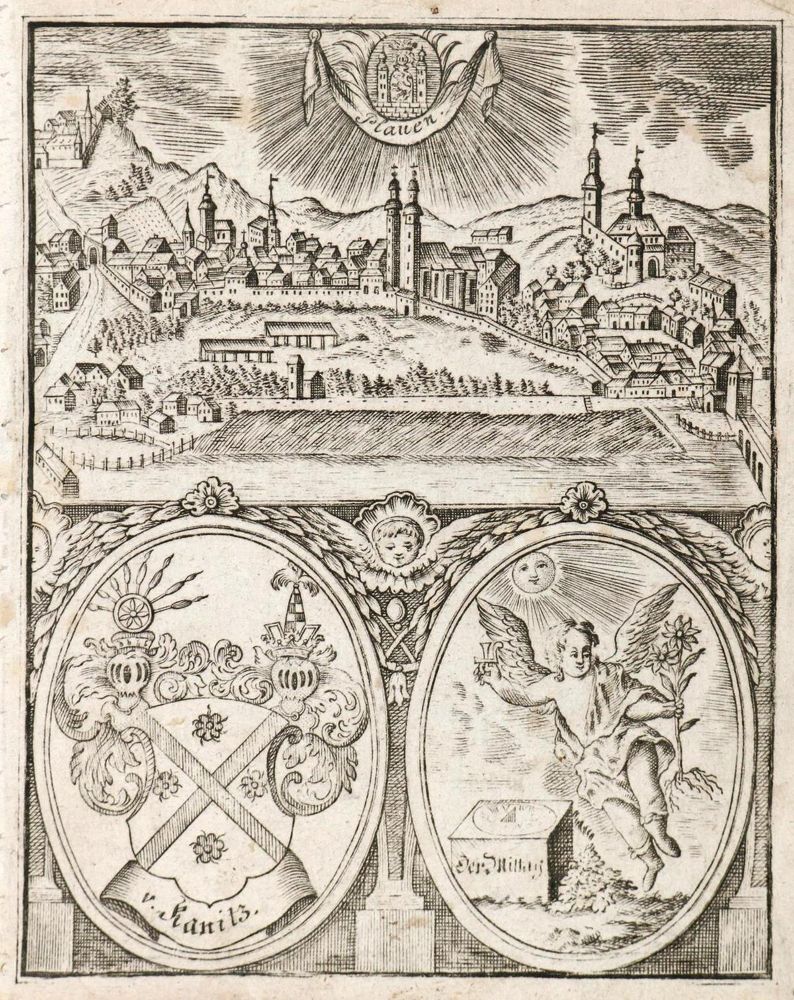 Große Abbildung Nr.1: 136-2958 Plauen.: (Deutschland)