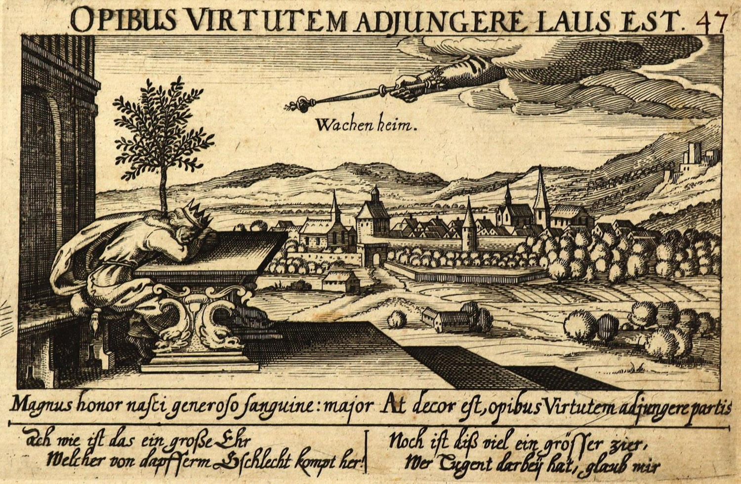 Große Abbildung Nr.1: 136-2993 Wachenheim a.d. Weinstraße.: (Deutschland)