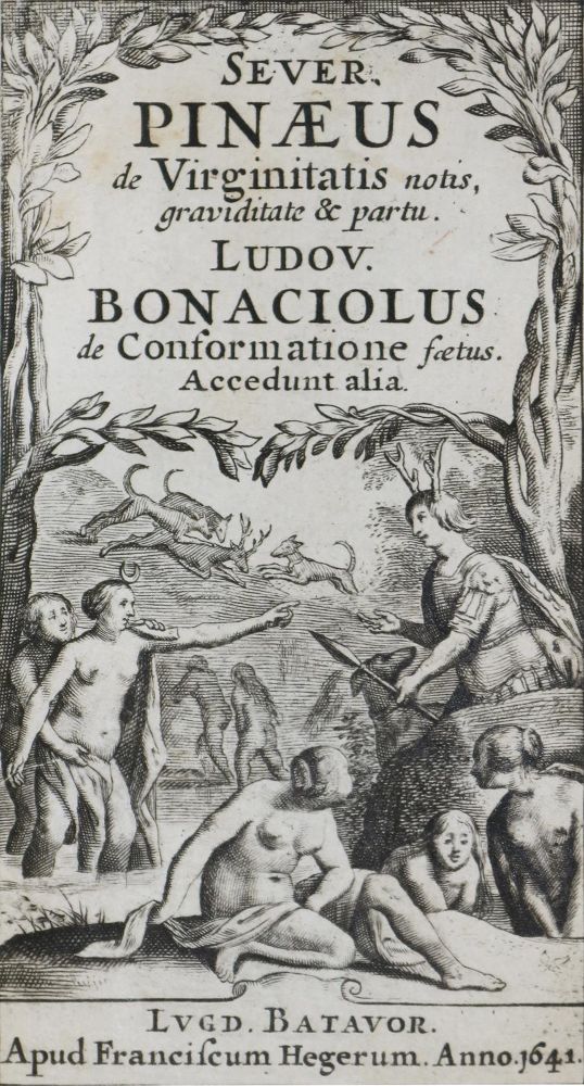 Große Abbildung Nr.1: 136-300 Pineau,S.: (Alte Drucke, Handschriften und Theologie)