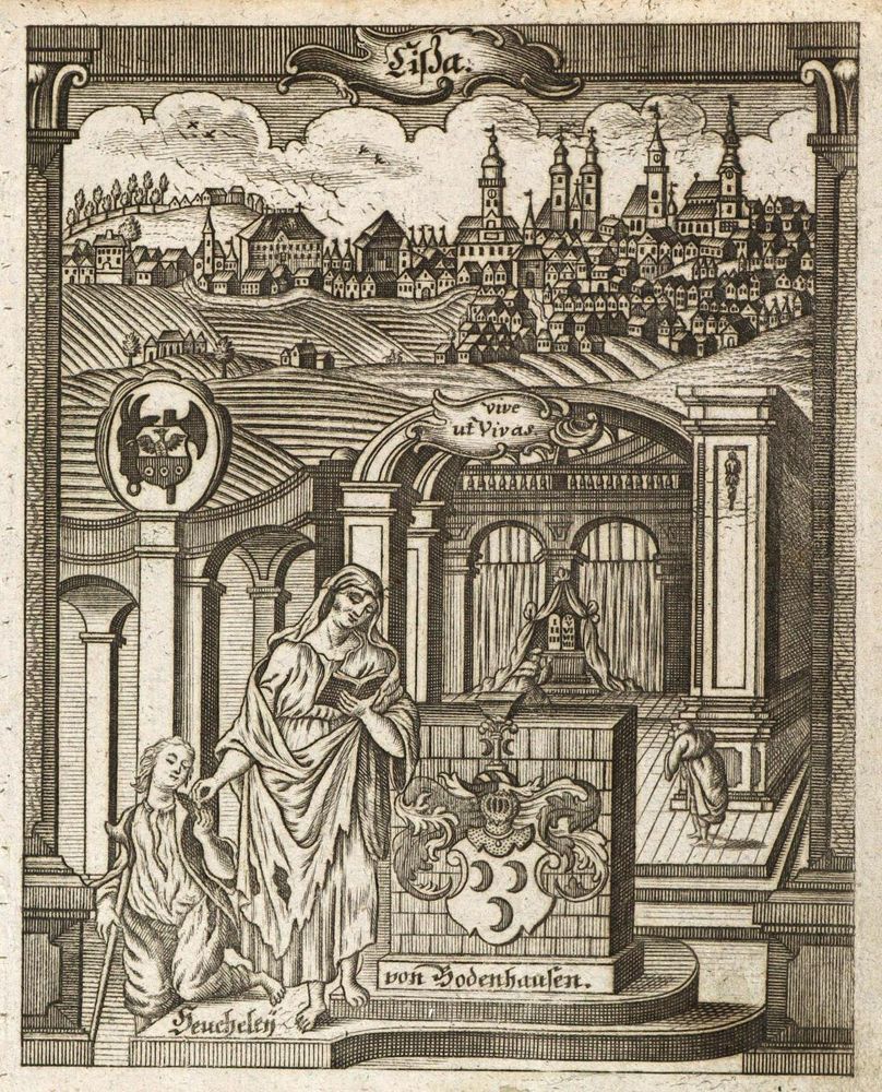 Große Abbildung Nr.1: 136-3123 Lissa (Leszno).: (Ausland, Polen.)