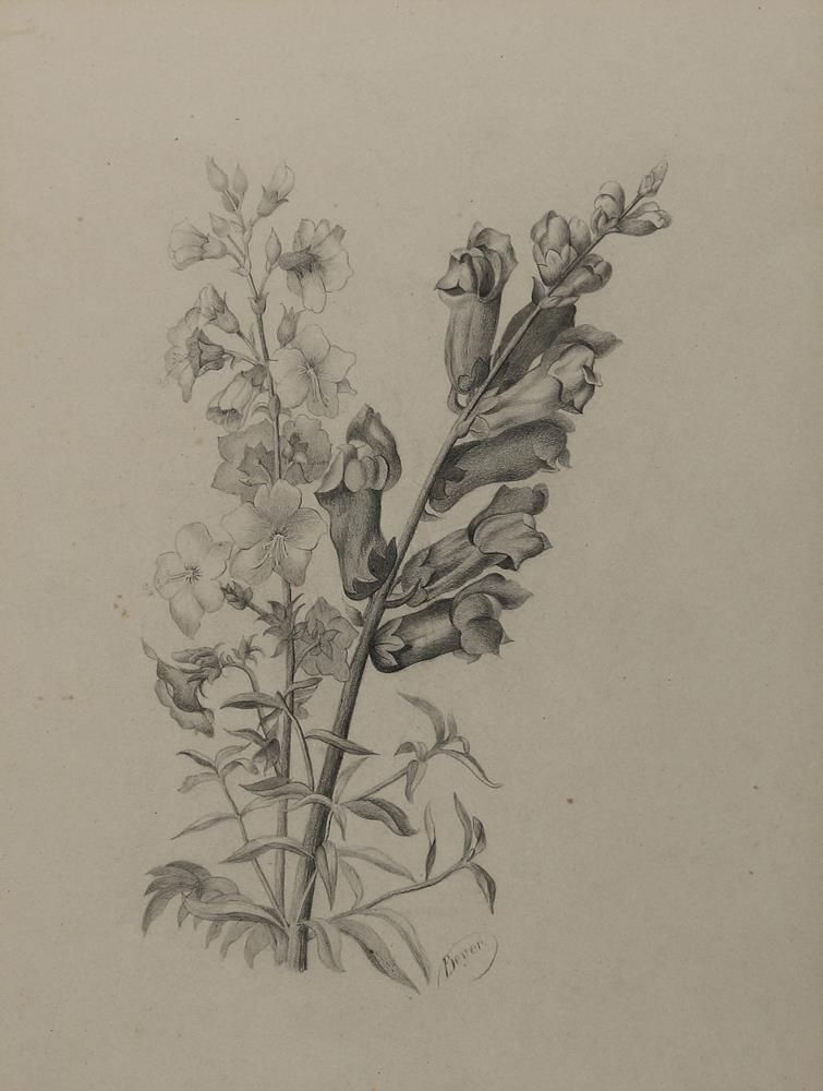 Große Abbildung Nr.3: 136-3277 Buchwald-Zinnwald, Erich: (Künstlergraphik)