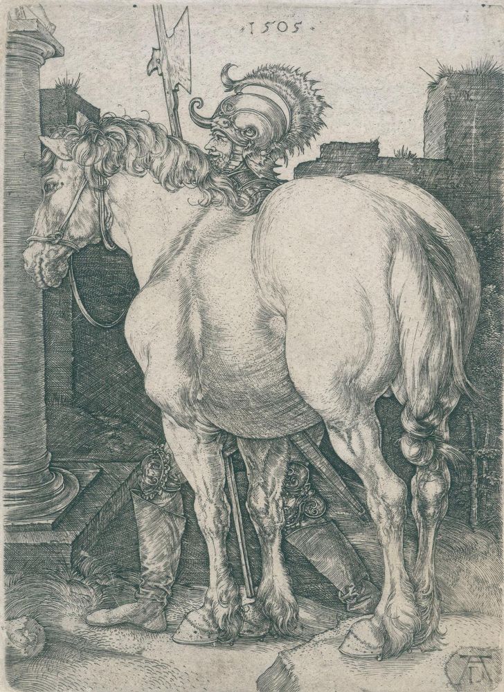 Große Abbildung Nr.1: 136-3359 Dürer, Albrecht: (Künstlergraphik)