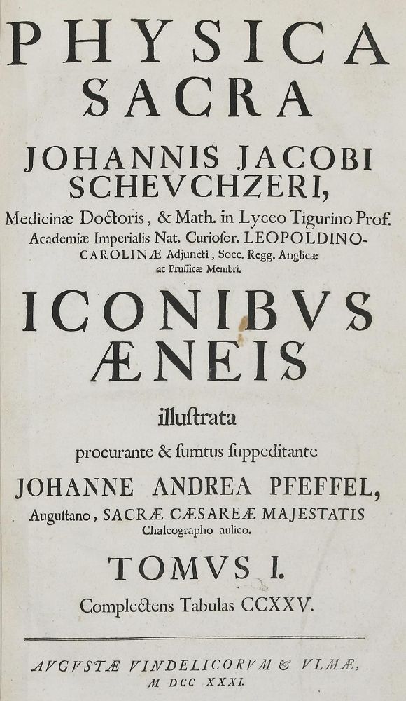 Große Abbildung Nr.1: 136-337 Scheuchzer,J.J.: (Alte Drucke, Handschriften und Theologie)
