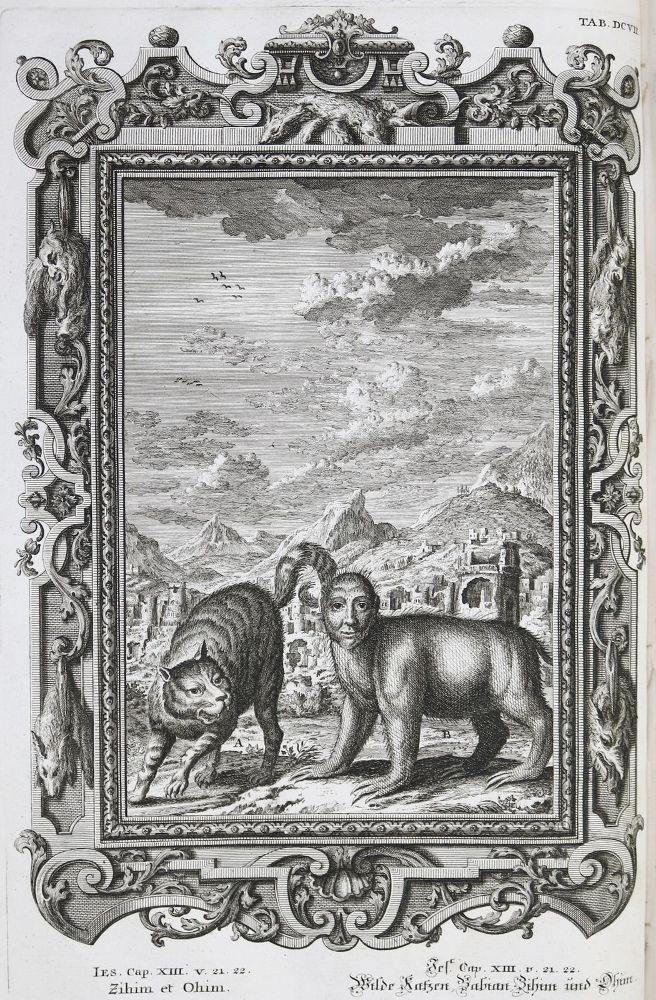 Große Abbildung Nr.10: 136-337 Scheuchzer,J.J.: (Alte Drucke, Handschriften und Theologie)