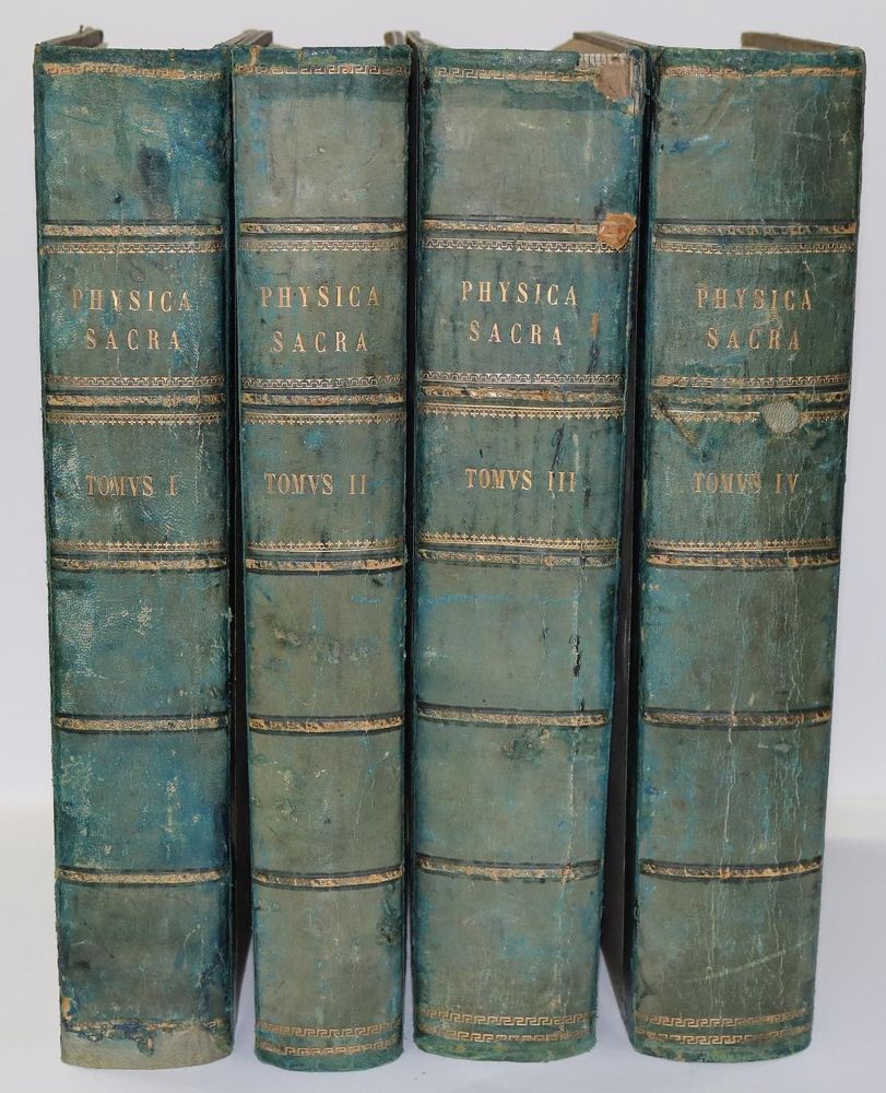Große Abbildung Nr.20: 136-337 Scheuchzer,J.J.: (Alte Drucke, Handschriften und Theologie)