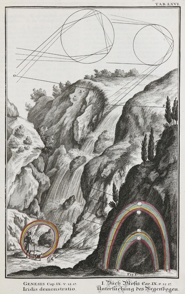 Große Abbildung Nr.5: 136-337 Scheuchzer,J.J.: (Alte Drucke, Handschriften und Theologie)