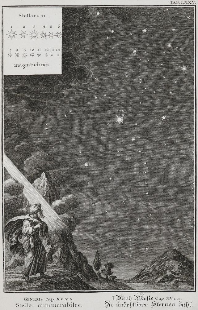 Große Abbildung Nr.6: 136-337 Scheuchzer,J.J.: (Alte Drucke, Handschriften und Theologie)