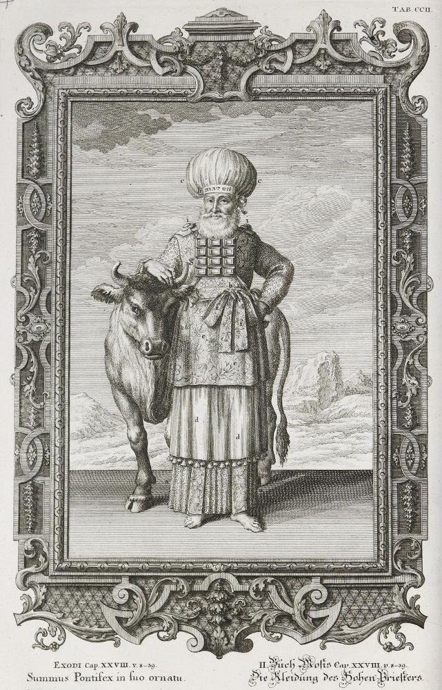 Große Abbildung Nr.7: 136-337 Scheuchzer,J.J.: (Alte Drucke, Handschriften und Theologie)