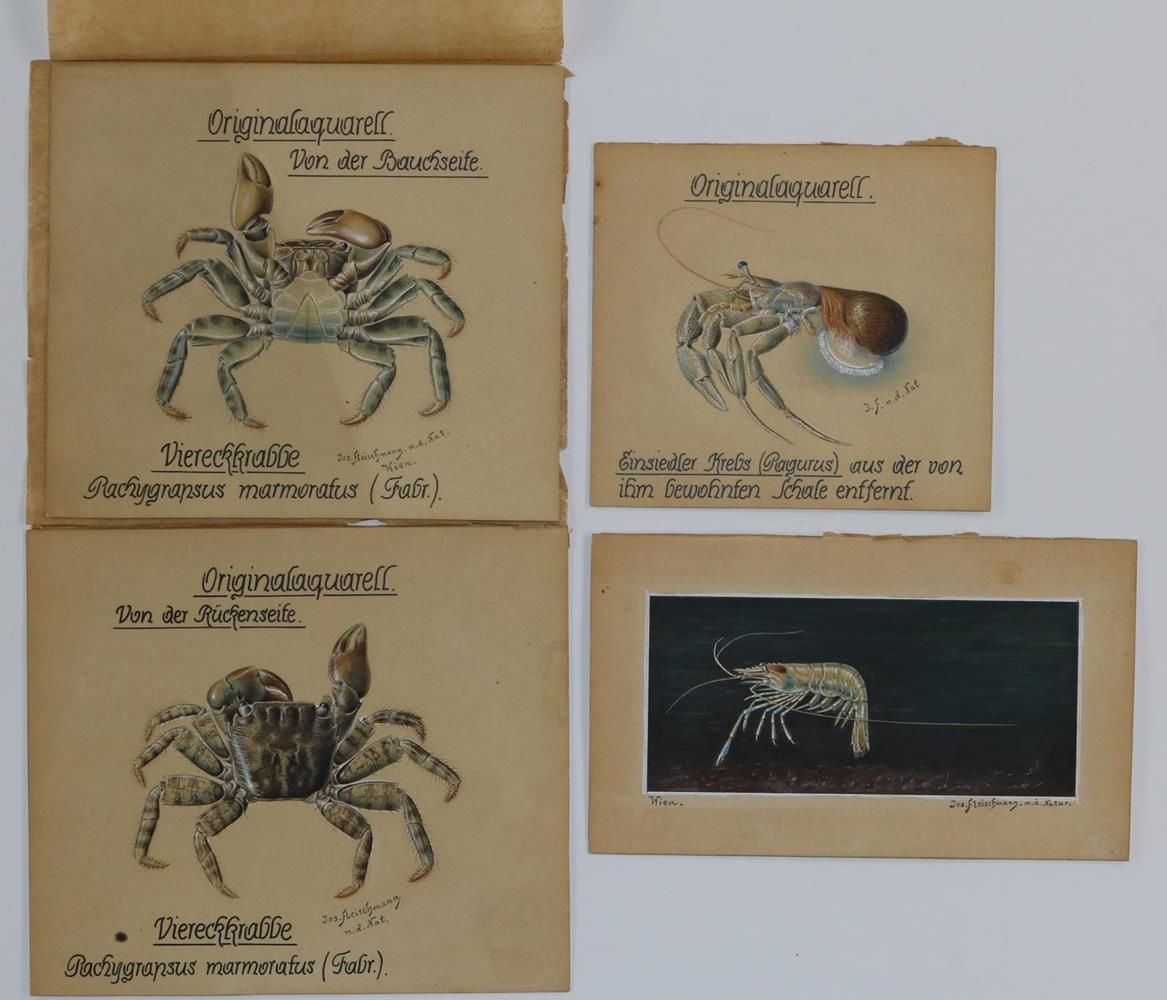 Große Abbildung Nr.2: 136-3427 Fleischmann, Josef: (Künstlergraphik)