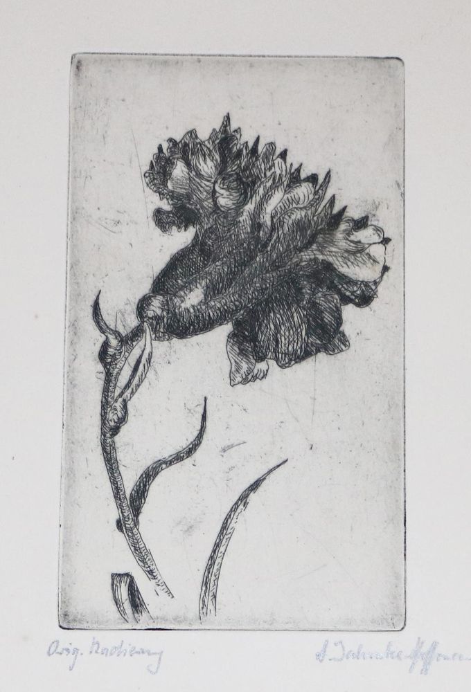 Große Abbildung Nr.2: 136-3566 Jahncke-Hoffmann, Annemarie: (Künstlergraphik)