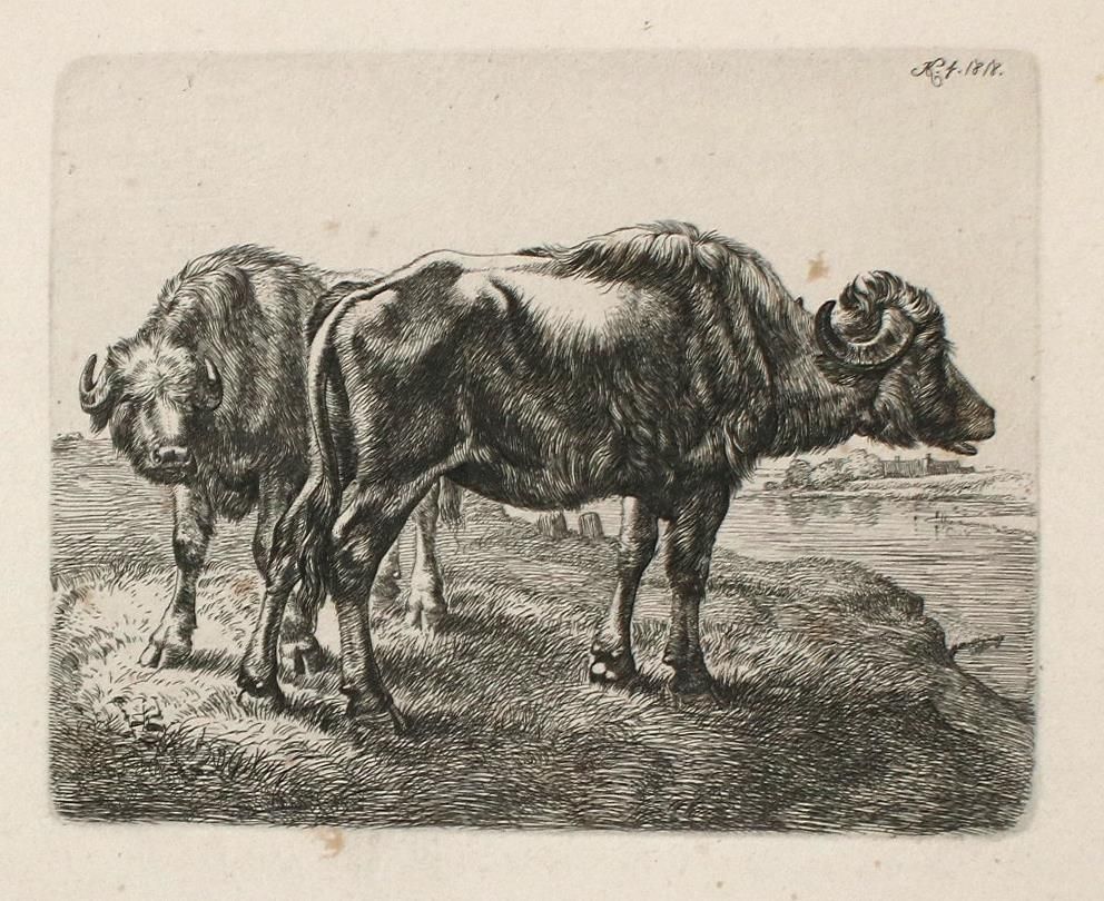 Große Abbildung Nr.3: 136-3658 Klein, Johann Adam: (Künstlergraphik)