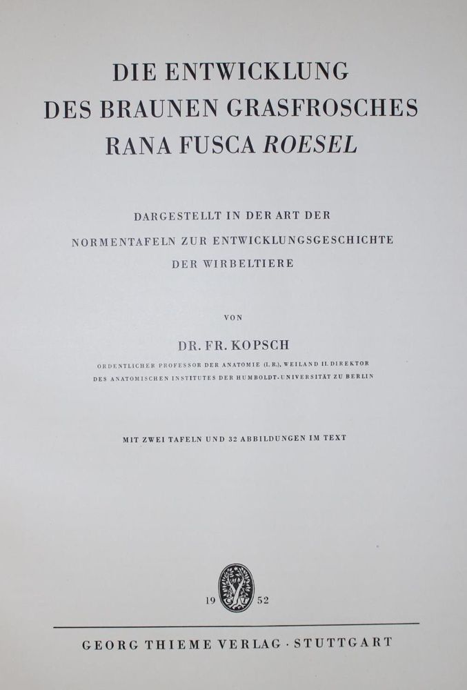 Große Abbildung Nr.41: 136-487 Konvolut: (Varia)