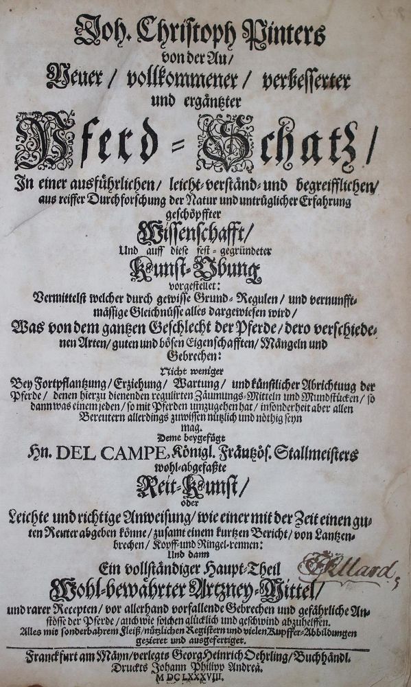 Große Abbildung Nr.1: 136-655 Pinter von der Au,J.C.: (Tierhaltung, Pferde)