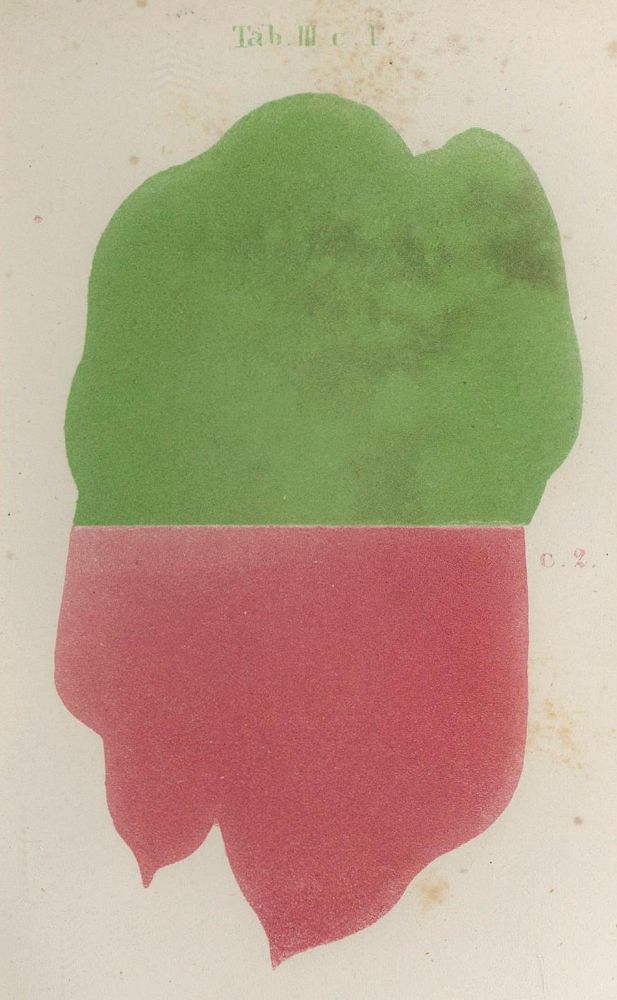 Große Abbildung Nr.1: 136-697 Hundertpfund,L.: (Kunstwissenschaft)