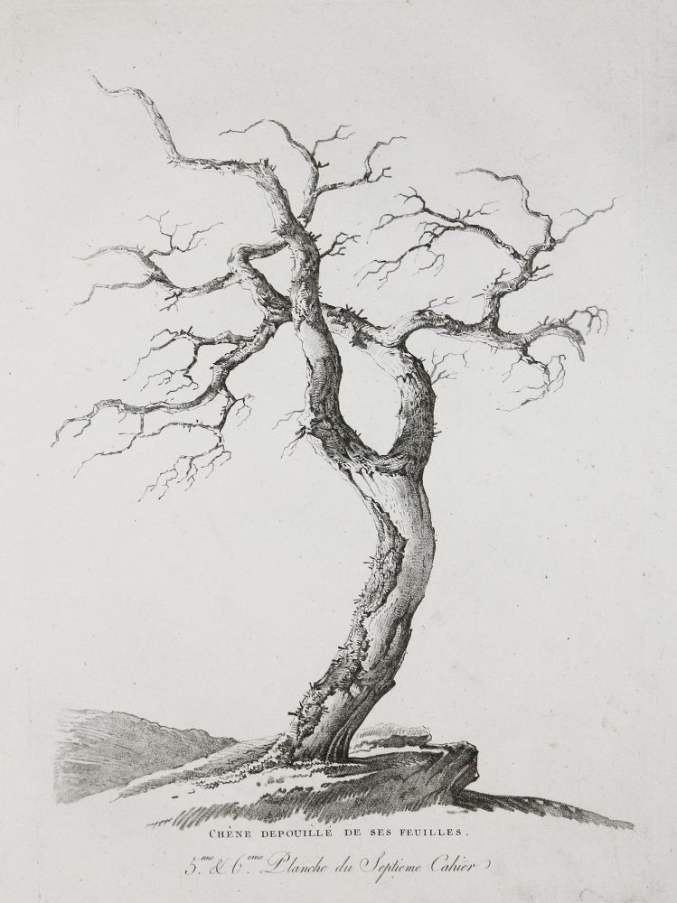 Große Abbildung Nr.2: 136-707 Mandevare,A.M.: (Kunstwissenschaft)