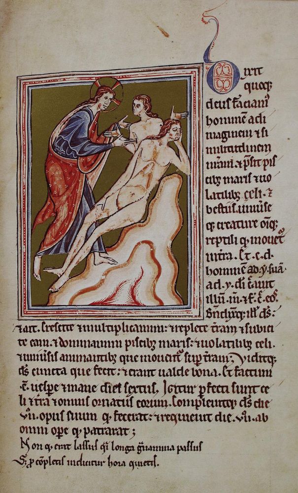 Große Abbildung Nr.1: 136-760 Bestiarium.: (Faksimile, Ashmole)