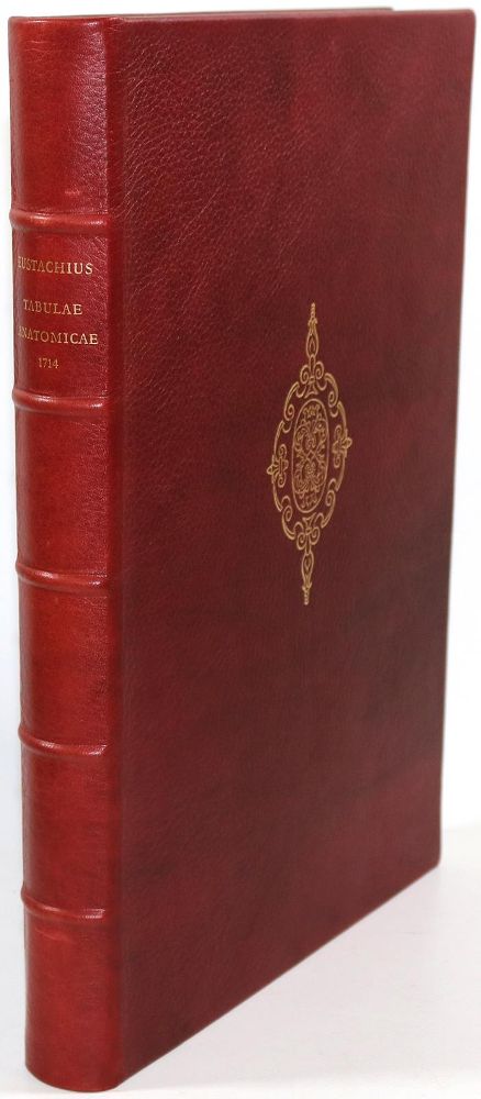 Große Abbildung Nr.3: 136-775 Eustachius, B.,: (Faksimile)