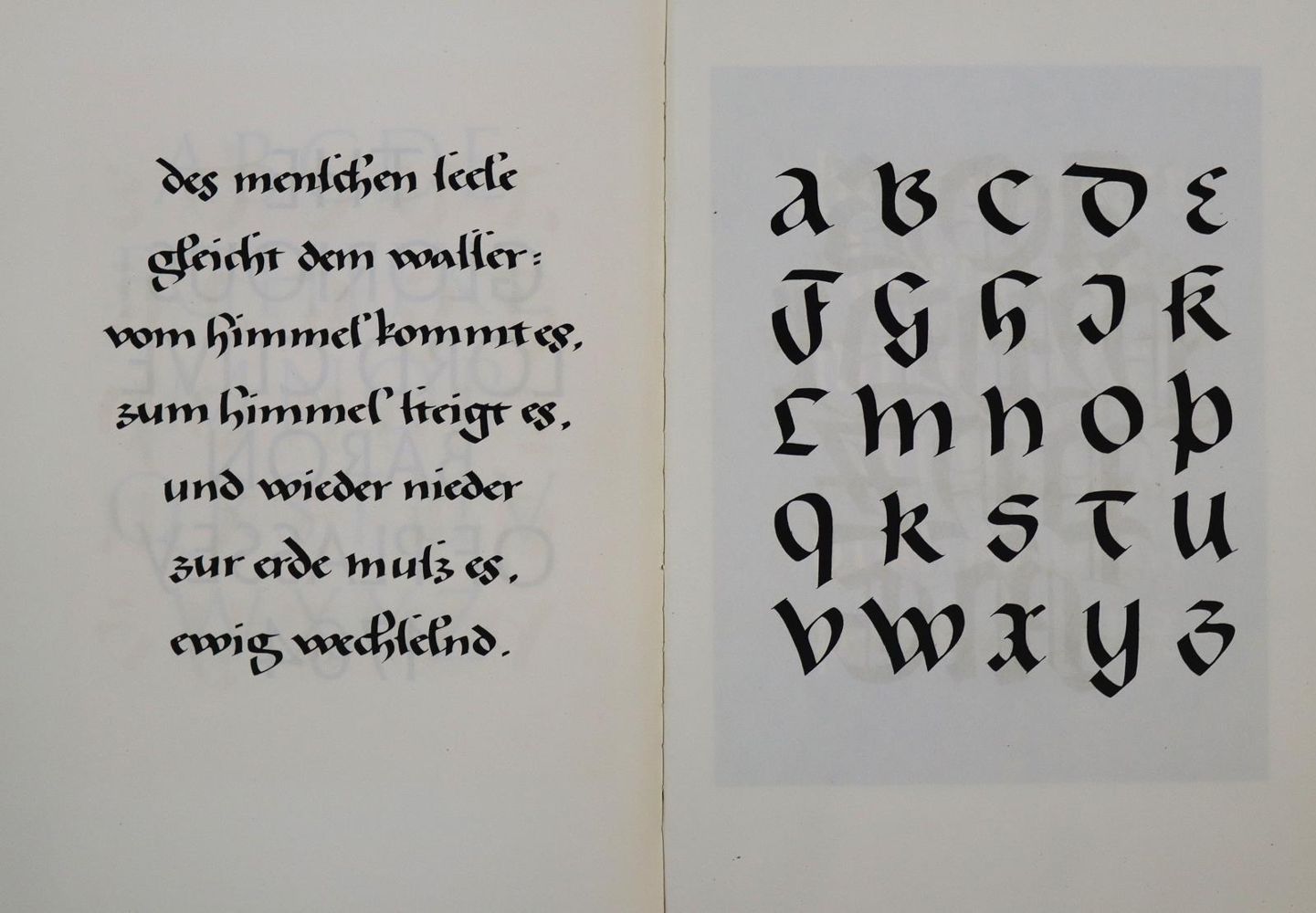 Große Abbildung Nr.2: 136-838 Brudi,W.: (Typographie und Kalligraphie)
