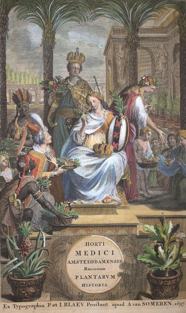 Große Abbildung Nr.1: 136-92 Commelin,C.: (Alte Drucke, Handschriften und Theologie)