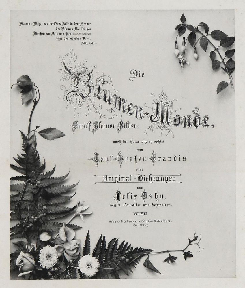 Große Abbildung Nr.2: 136-980 Dahn,F.: (Literatur und illustrierte Bücher bis 19.Jahrhundert)