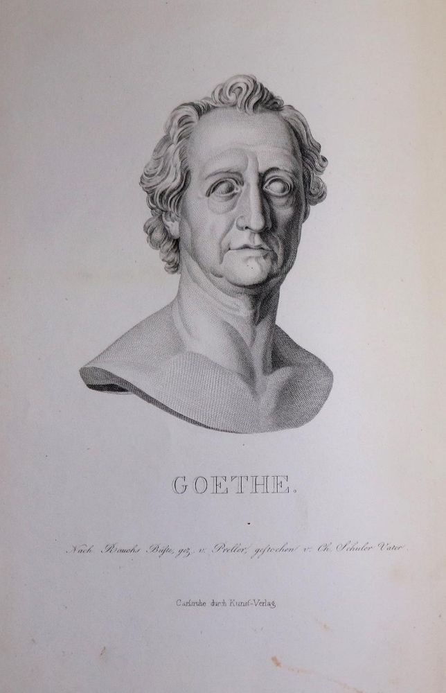 Große Abbildung Nr.1: 136-989 Goethe,J.W.v.: (Einband)