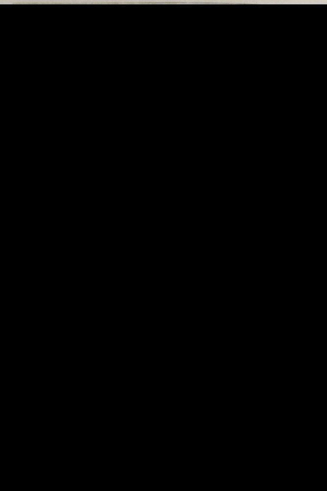 Große Abbildung Nr.1: 136-995 Roter Maroquineinband: (Einband)