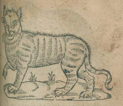 Bild Nr.2: 136-110 Paradin,C. u. G.Simeoni.: (Emblemata)