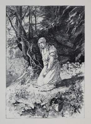 Bild Nr.3: 136-1158 Weber,F.W.: (Literatur und illustrierte Bücher bis 19.Jahrhundert)