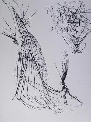 Bild Nr.7: 136-1204 Goethe,J.W.v.: (Dali)