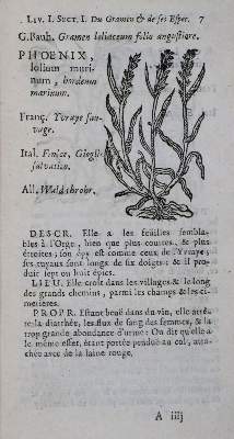 Bild Nr.2: 136-1417 Bauhin,C.: (Botanik, Kräuterbücher)
