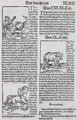 Bild Nr.3: 136-1418 Gart der Gesuntheit: (Botanik, Kräuterbücher)